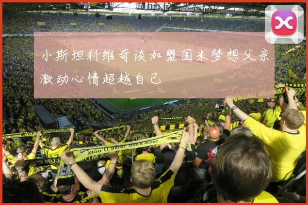 小斯坦科维奇谈加盟国米梦想父亲激动心情超越自己