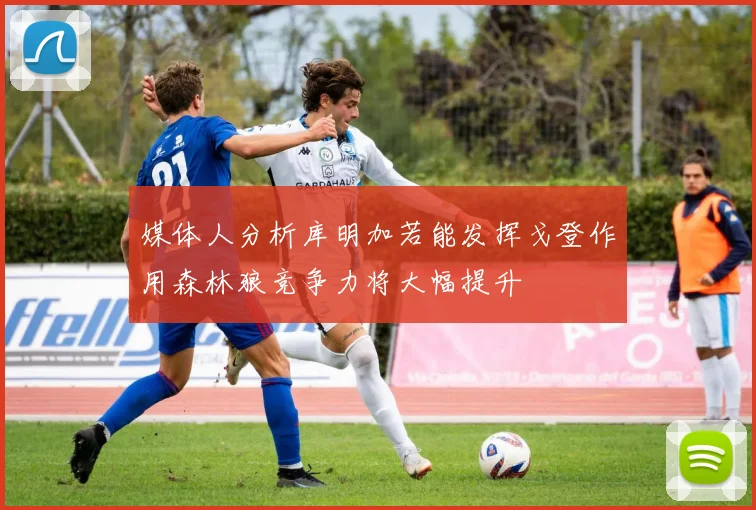 媒体人分析库明加若能发挥戈登作用森林狼竞争力将大幅提升